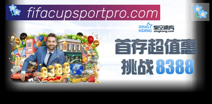未来规划